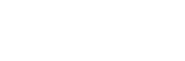 AriseWiser Logo
